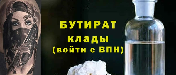 индика Богородицк