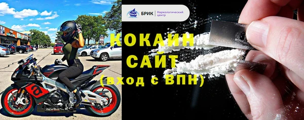 индика Богородицк